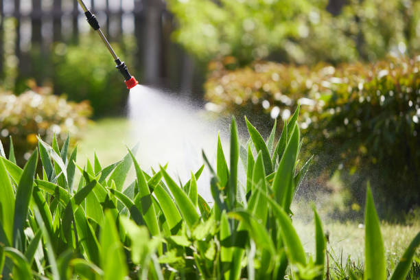 24/7 Emergency Fumigation Services experts in Bladenboro, NC