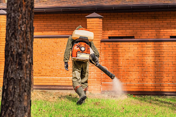 Trusted Cockroach Control service in Bladenboro, NC - Nex Pest Control